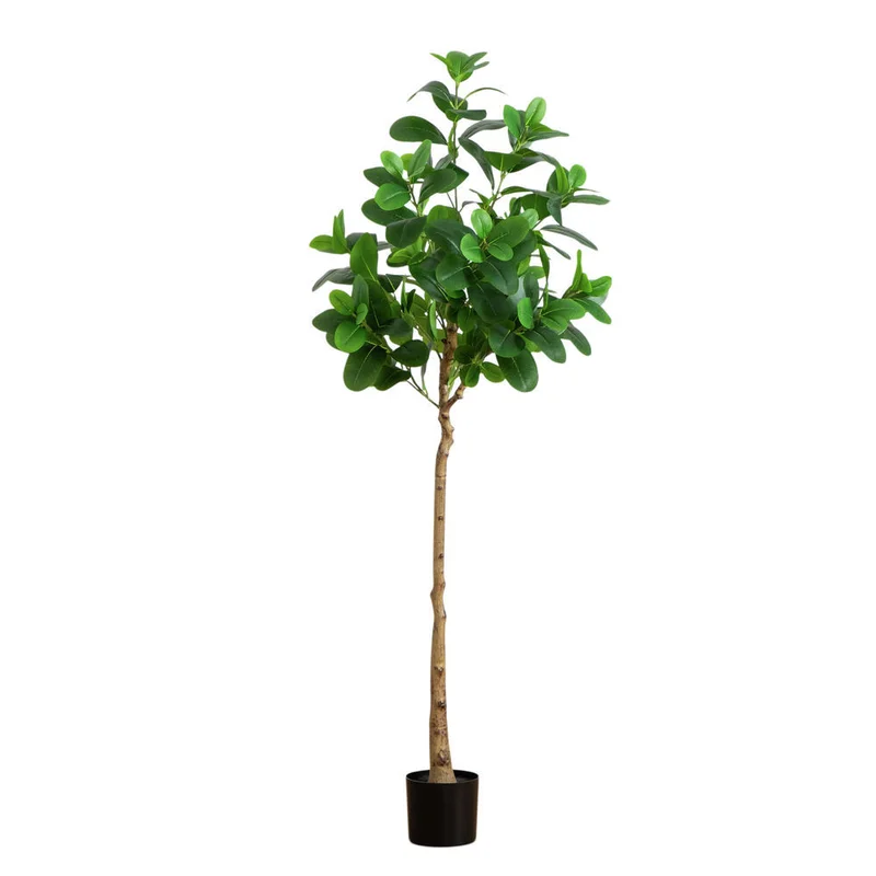 hubert3561568