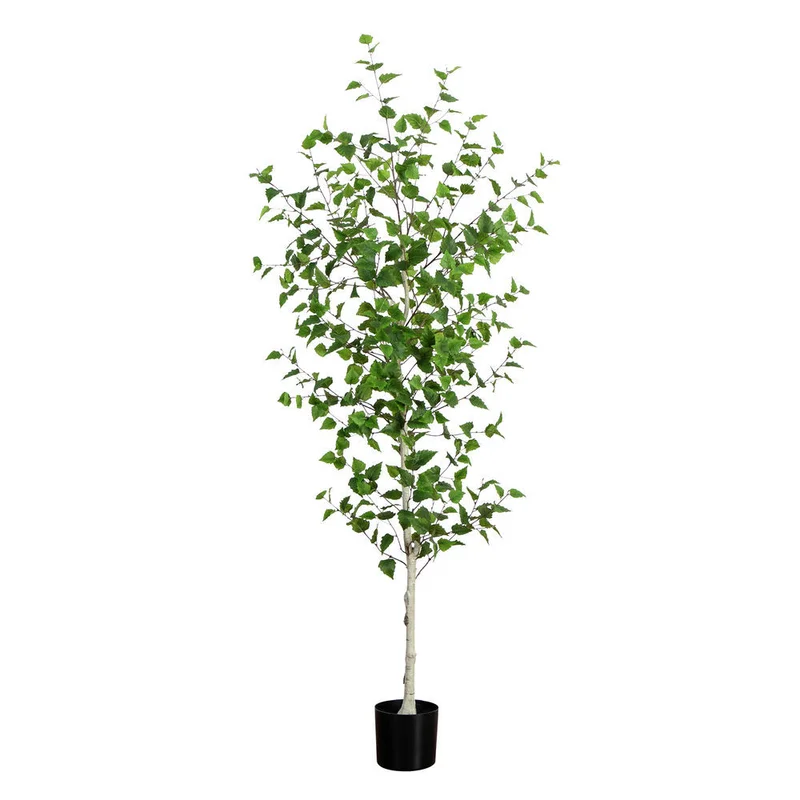 hubert3561637