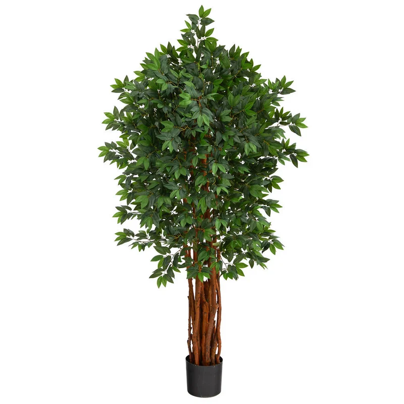 hubert3567146
